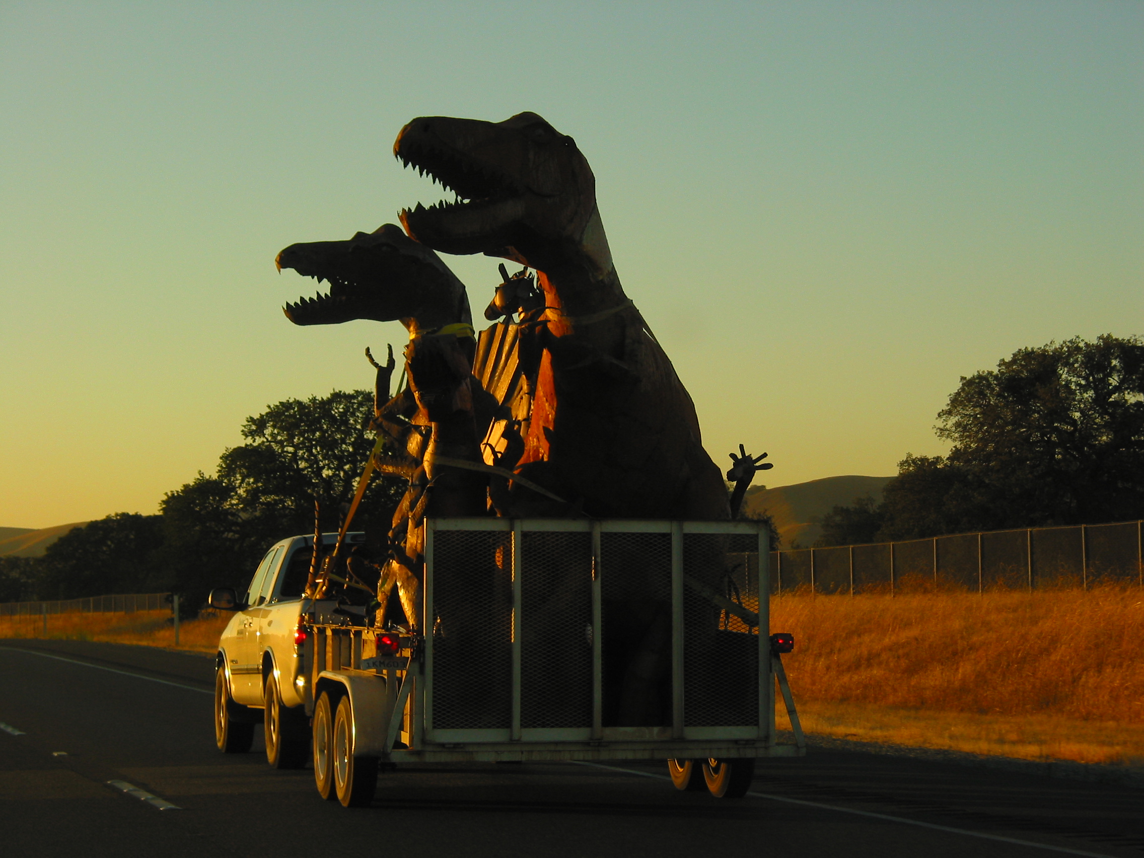 New Species of Dinosaur Discovered on Isle of Wight