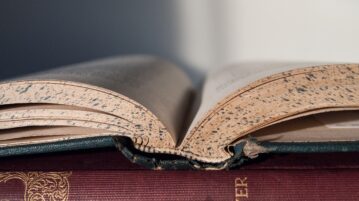Some Peculiar Etymological Ventures into the English Language